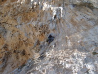 SNV80436.JPG